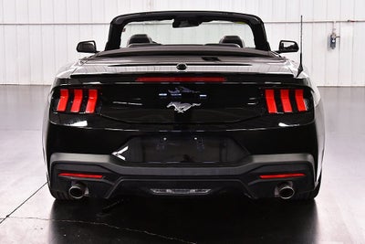 2025 Ford Mustang EcoBoost Premium