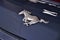 2026 Ford Mustang EcoBoost Pony