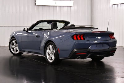 2026 Ford Mustang EcoBoost Pony