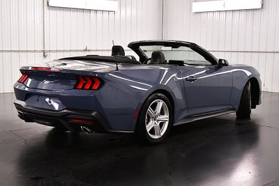2026 Ford Mustang EcoBoost Pony