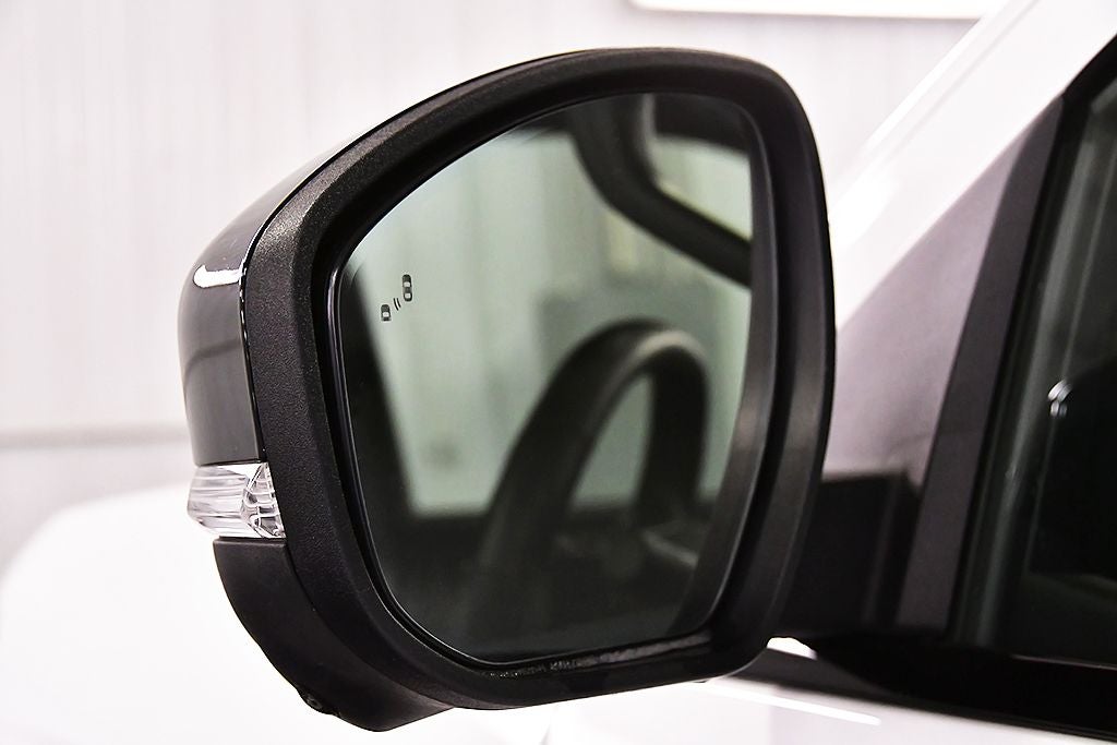 2025 Ford Expedition Platinum Stealth Edition