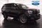 2025 Ford Expedition Platinum Steslth