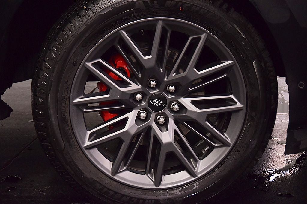 2025 Ford Expedition Platinum Steslth