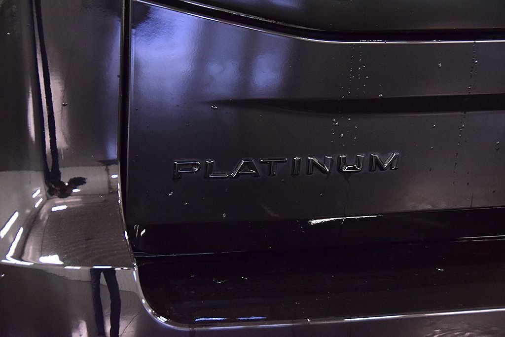 2025 Ford Expedition Platinum Steslth