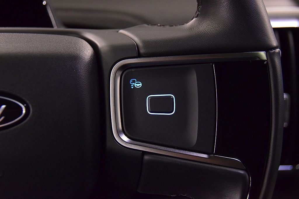 2025 Ford Expedition Platinum Steslth