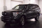 2025 Ford Expedition Platinum Steslth