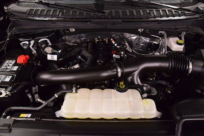 2025 Ford Expedition Platinum Steslth