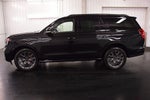 2025 Ford Expedition Platinum Steslth