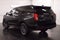 2025 Ford Expedition Platinum Steslth