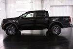 2026 Ford Ranger XLT Sport