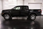 2026 Ford Ranger XLT Sport