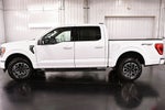 2023 Ford F-150 XLT Sport 5-1/2' Box