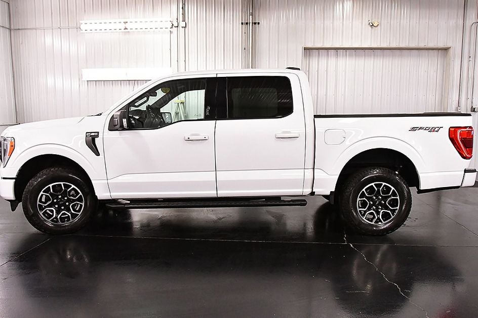 2023 Ford F-150 XLT Sport 5-1/2' Box