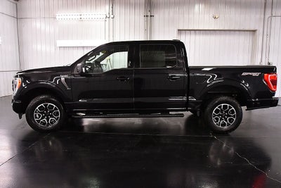 2023 Ford F-150 XLT Sport 5-1/2' Box