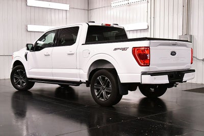 2023 Ford F-150 XLT Sport 5-1/2' Box