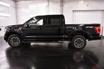 2023 Ford F-150 XLT Sport 5-1/2' Box