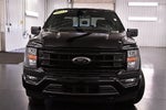 2023 Ford F-150 XLT Sport 5-1/2' Box