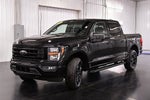 2023 Ford F-150 XLT Sport 5-1/2' Box