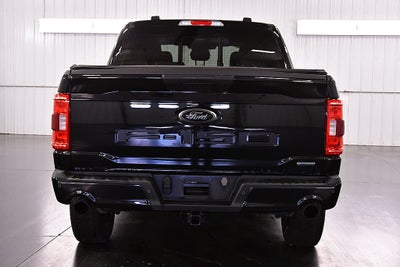 2023 Ford F-150 XLT Sport 5-1/2' Box