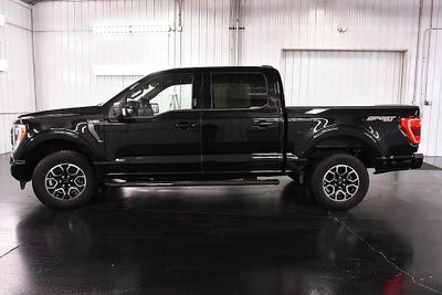 2023 Ford F-150 XLT Sport 5-1/2' Box