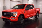 2023 Ford F-150 XLT Sport 5-1/2' Box