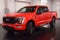 2023 Ford F-150 XLT Sport 5-1/2' Box
