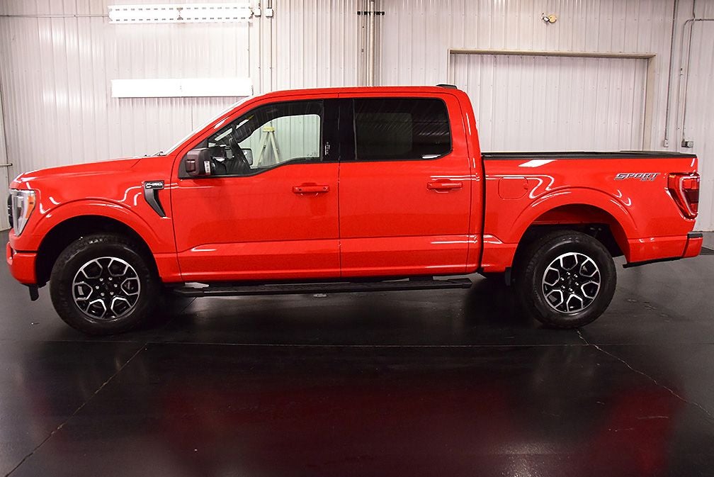 2023 Ford F-150 XLT Sport 5-1/2' Box