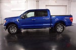 2023 Ford F-150 XLT 5-1/2' Box