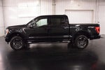 2023 Ford F-150 XLT Sport 5-1/2' Box