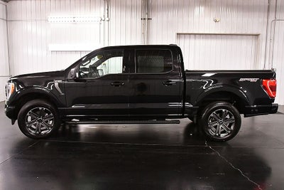 2023 Ford F-150 XLT Sport 5-1/2' Box