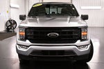 2023 Ford F-150 XLT Sport 5-1/2' Box