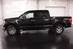 2023 Ford F-150 XLT 5-1/2' Box