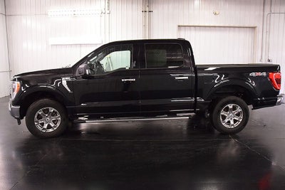 2023 Ford F-150 XLT 5-1/2' Box