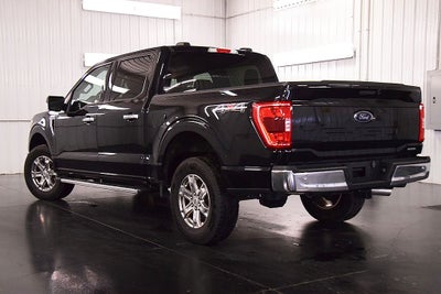 2023 Ford F-150 XLT 5-1/2' Box