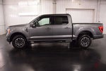 2023 Ford F-150 XLT Sport 5-1/2' Box