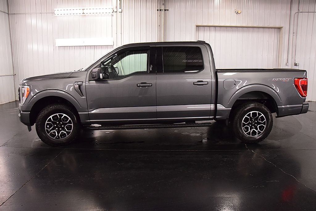 2023 Ford F-150 XLT Sport 5-1/2' Box