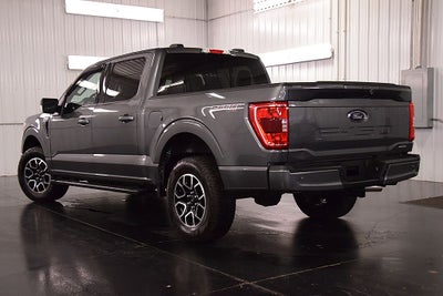 2023 Ford F-150 XLT Sport 5-1/2' Box