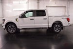 2024 Ford F-150 STX 5-1/2' Box