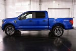 2024 Ford F-150 STX 5-1/2' Box