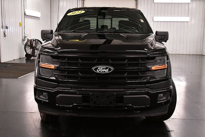 2024 Ford F-150 XLT 5-1/2' Box