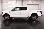 2024 Ford F-150 XLT 5-1/2' Box