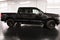 2025 Ford F-150 XLT 5-1/2' Box