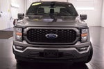 2023 Ford F-150 XL STX 6-1/2' Box