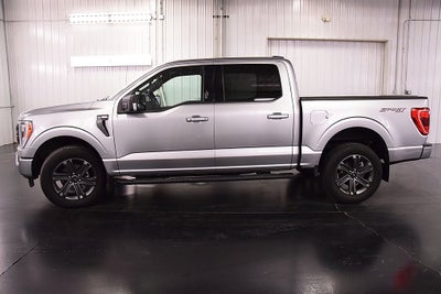 2023 Ford F-150 XLT Sport 5-1/2' Box