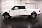 2023 Ford F-150 Lariat 6-1/2' Box
