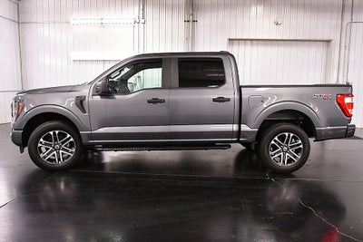 2023 Ford F-150 XL STX 5-1/2' Box