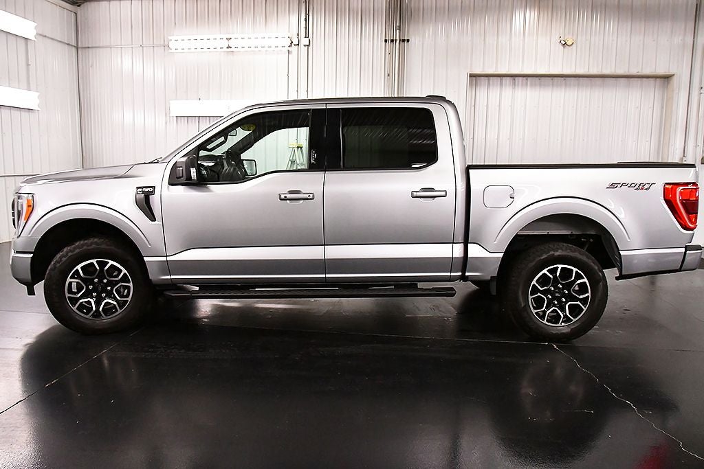2023 Ford F-150 XLT Sport 5-1/2' Box