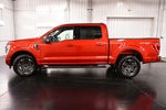 2023 Ford F-150 XLT Sport 5-1/2' Box