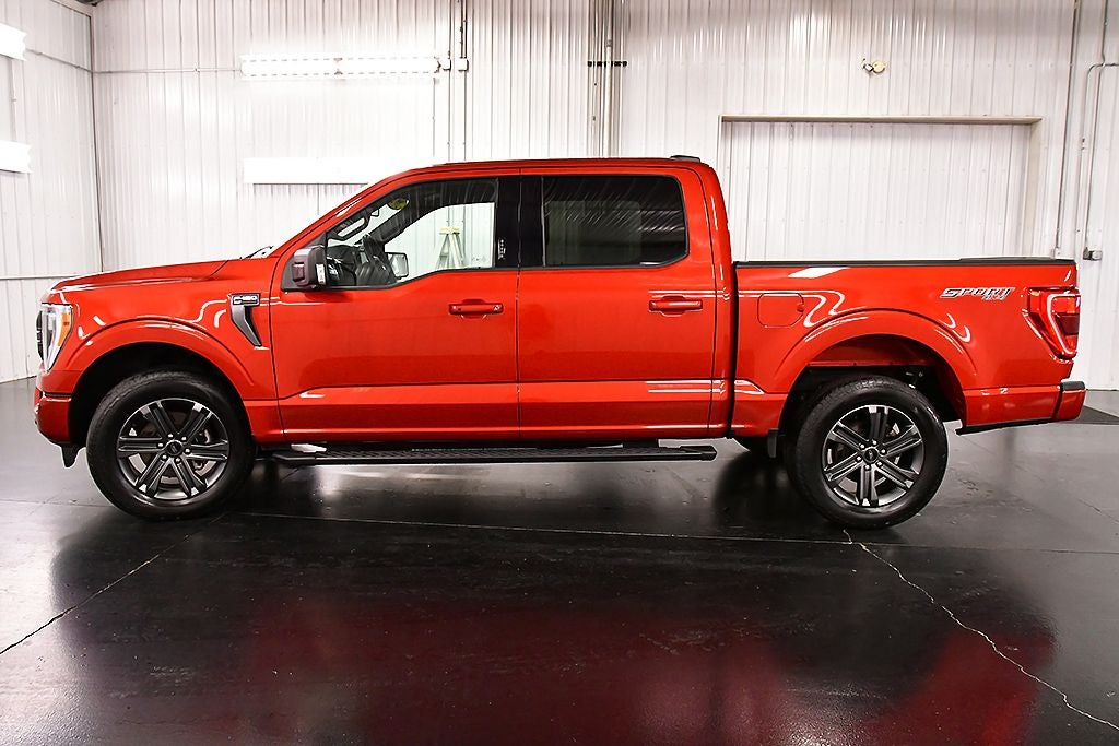 2023 Ford F-150 XLT Sport 5-1/2' Box