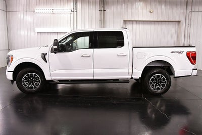 2023 Ford F-150 XLT Sport 5-1/2' Box